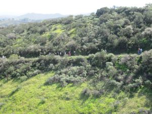 White Horse Canyon Trail