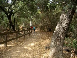 03-oak-creek-canyon-loop-west