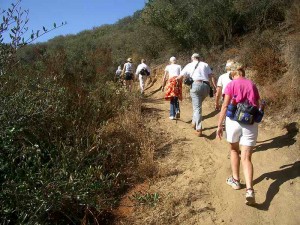 07-oak-creek-canyon-loop-east
