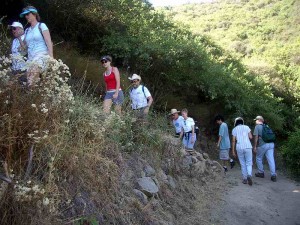 09-rosewood-trail