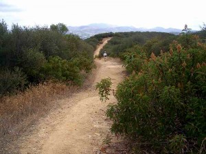 11-los-robles-overlook-trail 