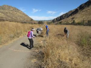 Part of the CORBA crew starts on a second drain at another dip in the trail.