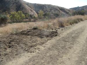 The first drain when it's finished.