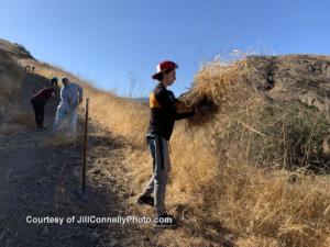 Volunteer Jacob Stutz of  the El Camino Real charter high school mountain bike team clears brush.  Photo: Jill Connelly